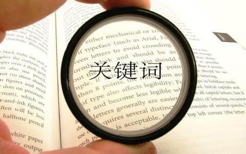 南阳网络公司：seo的快排原理